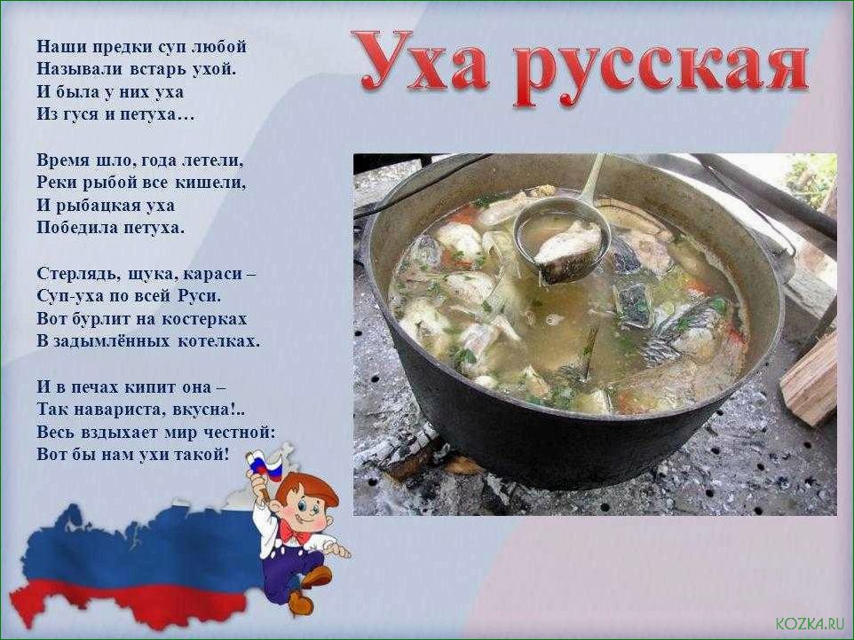 Рыбный суп для собаки: рецепты и советы