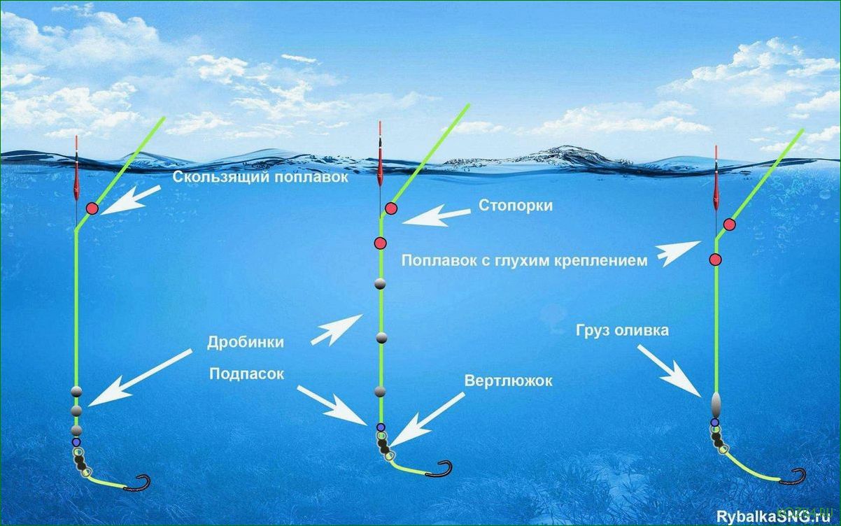 Водяной поплавок — уникальное средство для плавания и релаксации — особенности использования и широкий спектр применения