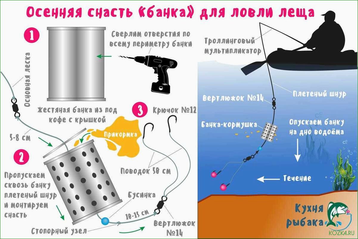 (выбираем, лучшие, снасти, успешной, летней) Выбираем лучшие снасти для успешной летней рыбалки — секреты правильного выбора и особенности использования