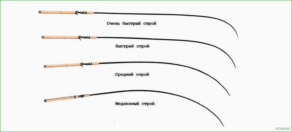 (матч, удилище, особенности, правила, рыбалки) Матч удилище — особенности и правила рыбалки с использованием этого специального снаряда