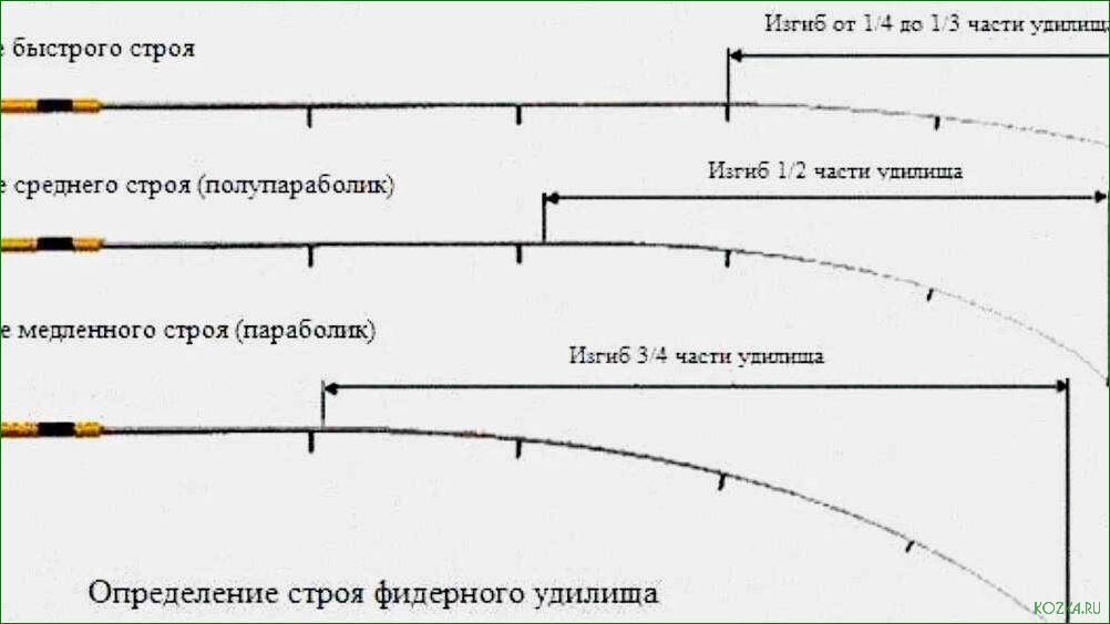 (наконечниках, удилища, разнообразие) Все, что вам нужно знать о наконечниках удилища — разнообразие видов, особенности использования и советы по выбору
