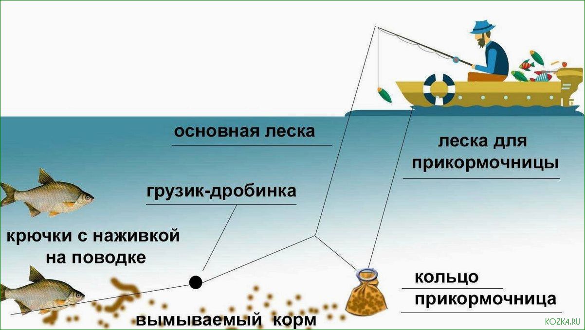 (спортивные, снасти, рыбалки, правильно, выбрать) Спортивные снасти для рыбалки — как правильно выбрать и использовать, советы и рекомендации от опытных рыболовов