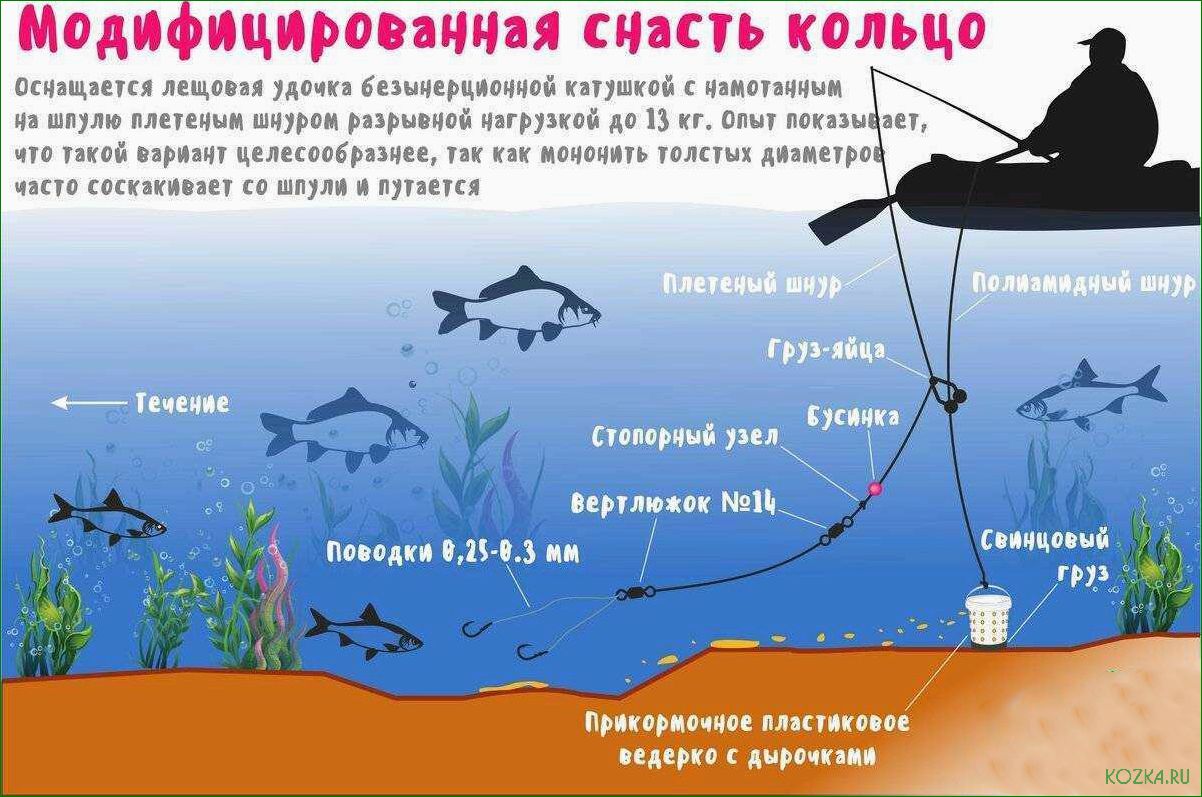 (новые, снасти, рыбалки, улучшенное, снаряжение) Новые снасти для рыбалки — улучшенное снаряжение для успешного лова