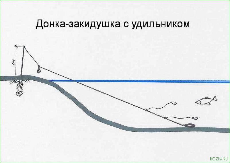 Используйте качественные снасти для рыбалки закидушка и повысьте свои шансы на успешный улов!
