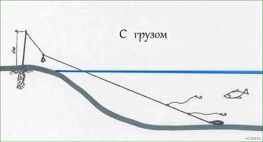 Используйте качественные снасти для рыбалки закидушка и повысьте свои шансы на успешный улов!