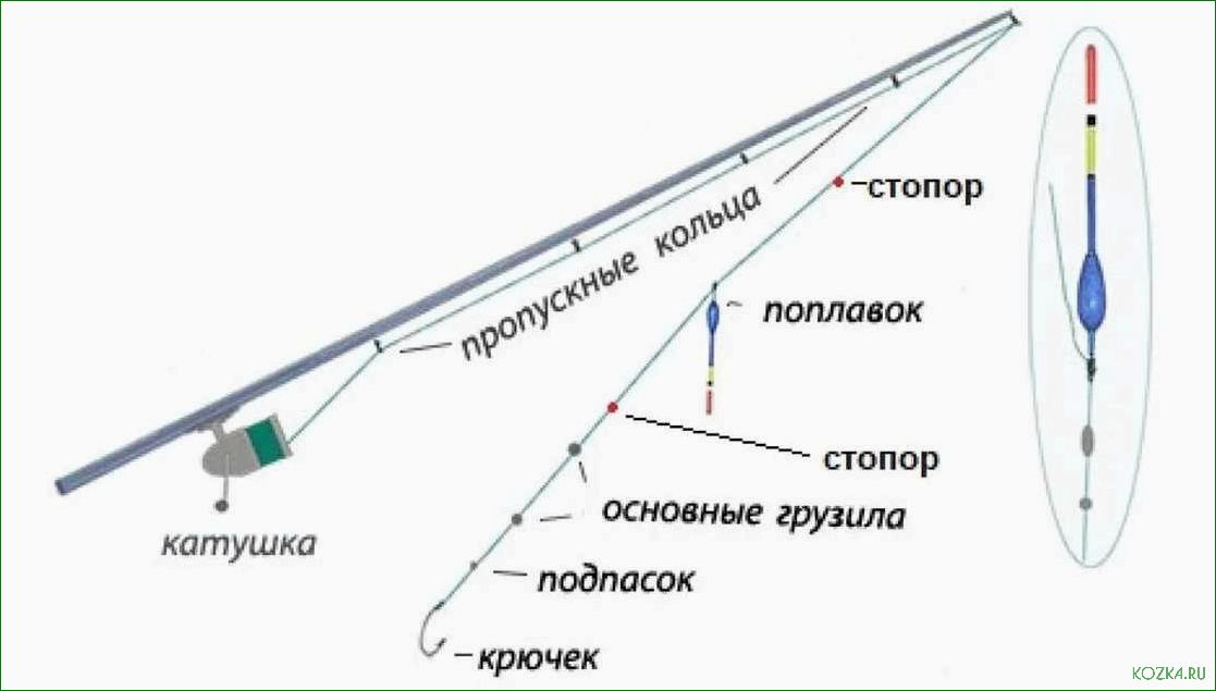 Рыбалка на Умбе — как правильно подобрать снасти и раскрыть секреты успешной ловли