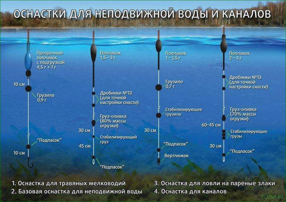 Рыбалка на Умбе — как правильно подобрать снасти и раскрыть секреты успешной ловли