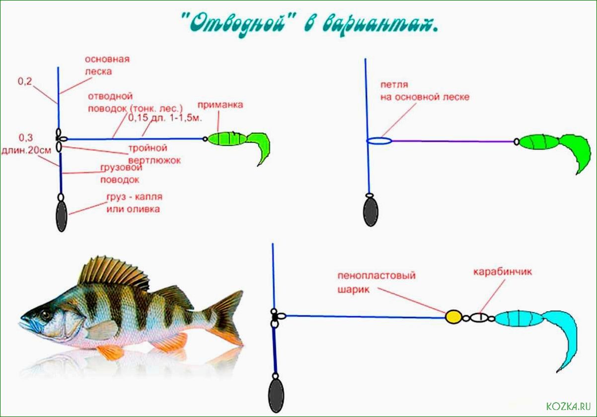 Рыбалка на Умбе — как правильно подобрать снасти и раскрыть секреты успешной ловли
