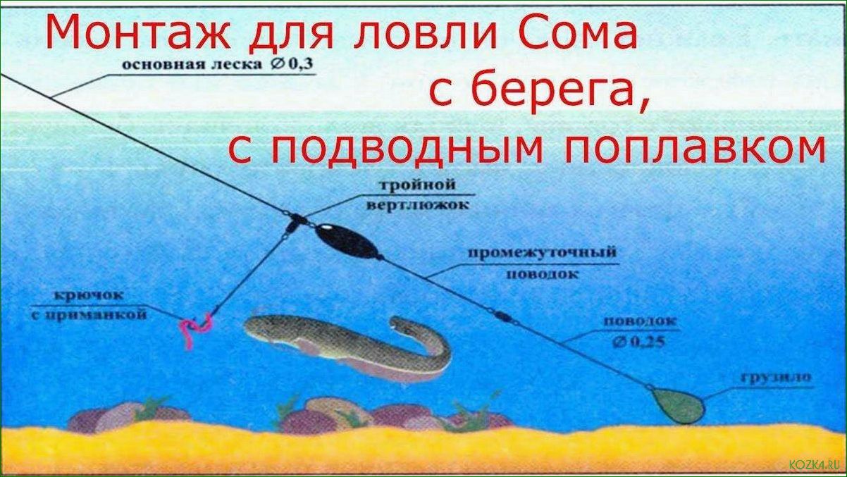 Рыбалка на Умбе — как правильно подобрать снасти и раскрыть секреты успешной ловли