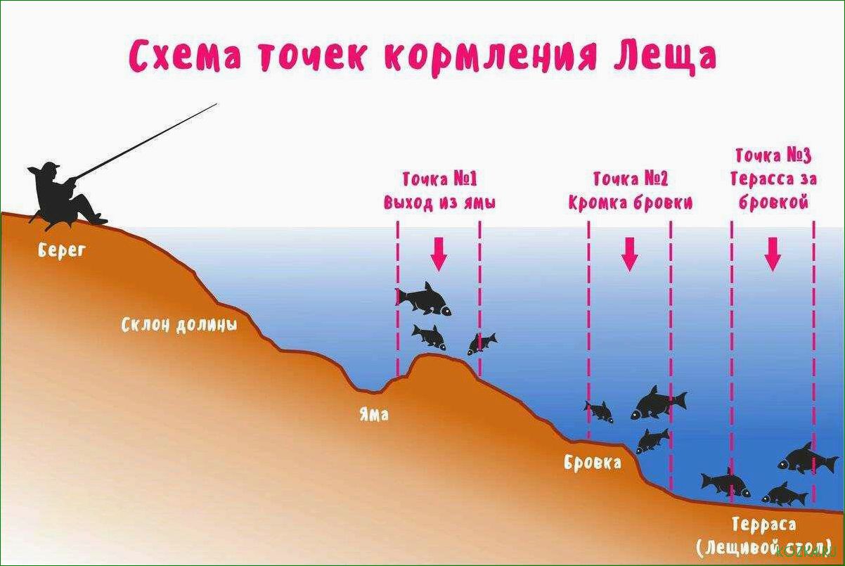 Рыбалка в Подмосковье — откройте для себя лучшие снасти и раскройте секреты успеха на водоемах