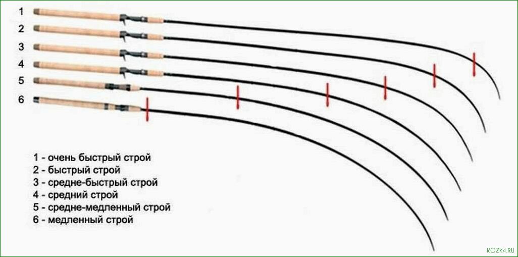 Сенсорика удилища — ключевой фактор успеха — полное руководство по выбору и использованию для максимального результата