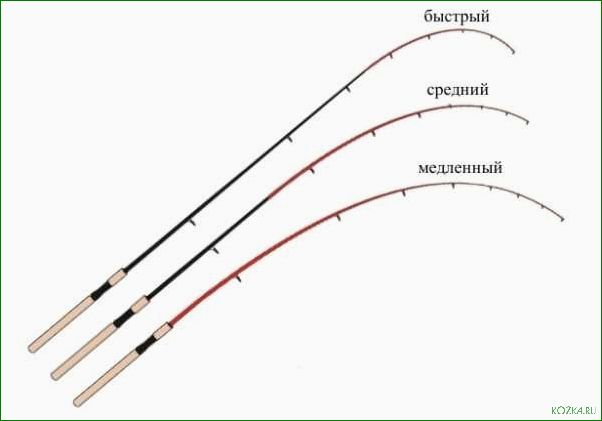 Сенсорика удилища — ключевой фактор успеха — полное руководство по выбору и использованию для максимального результата
