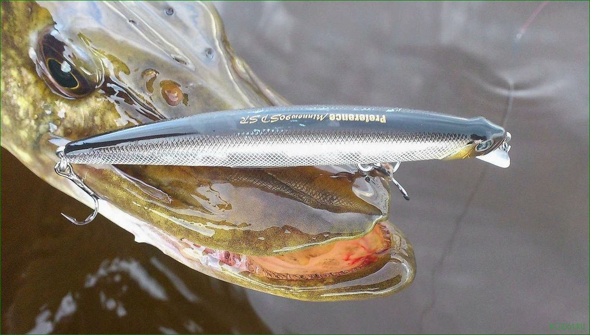 (эффект, воблера, ключ, успеху, рыбалке) Эффект воблера — ключ к успеху на рыбалке — тайны, секреты и особенности применения