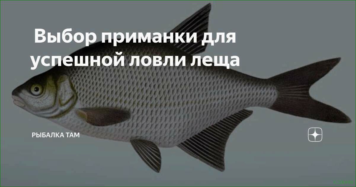 (эффект, воблера, ключ, успеху, рыбалке) Эффект воблера — ключ к успеху на рыбалке — тайны, секреты и особенности применения