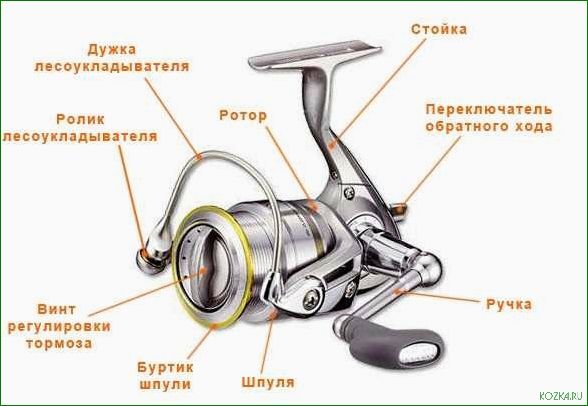 Элементы рыболовной катушки — ключевые компоненты, их роль и функциональные особенности