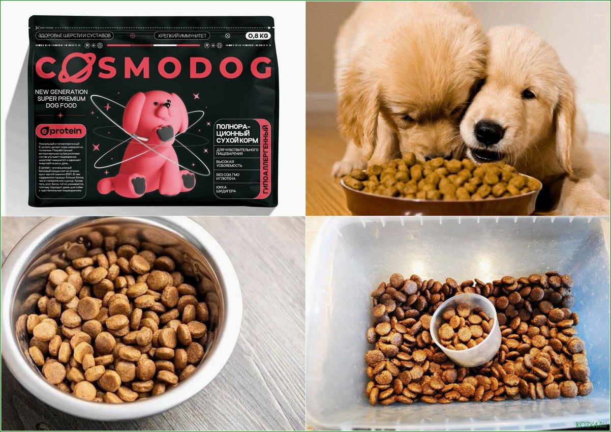 (лучшие, рекомендации, выбору, правильного, корма) Лучшие рекомендации по выбору правильного корма для здорового роста и развития щенков